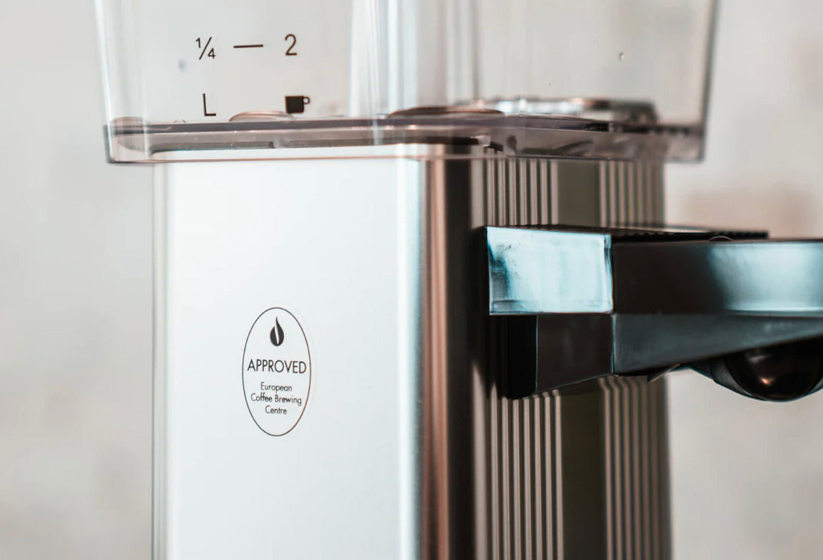What Does It Take to Get ECBC Certification?