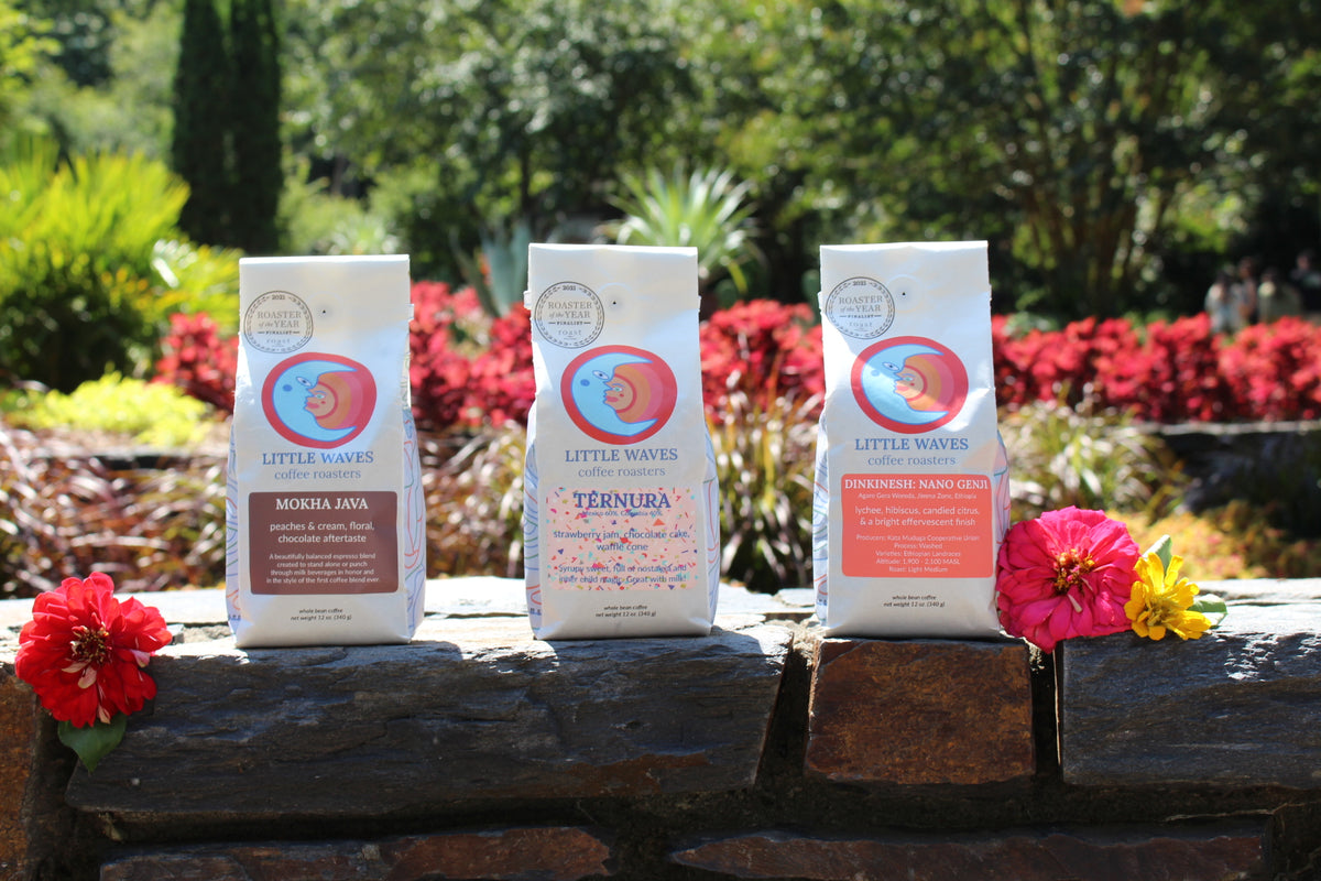 Tuesday Brew Day: Little Waves Coffee Roasters