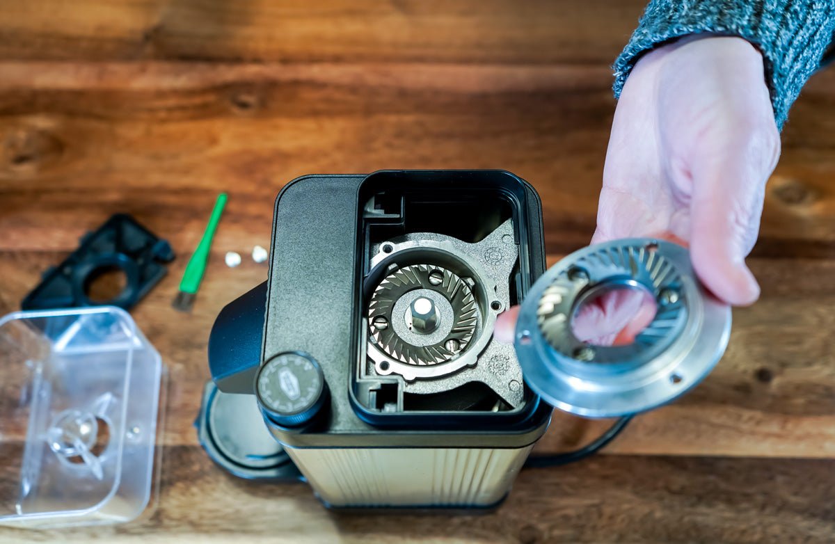 How To Clean A Coffee grinder and its burrs (+ how NOT to do it)