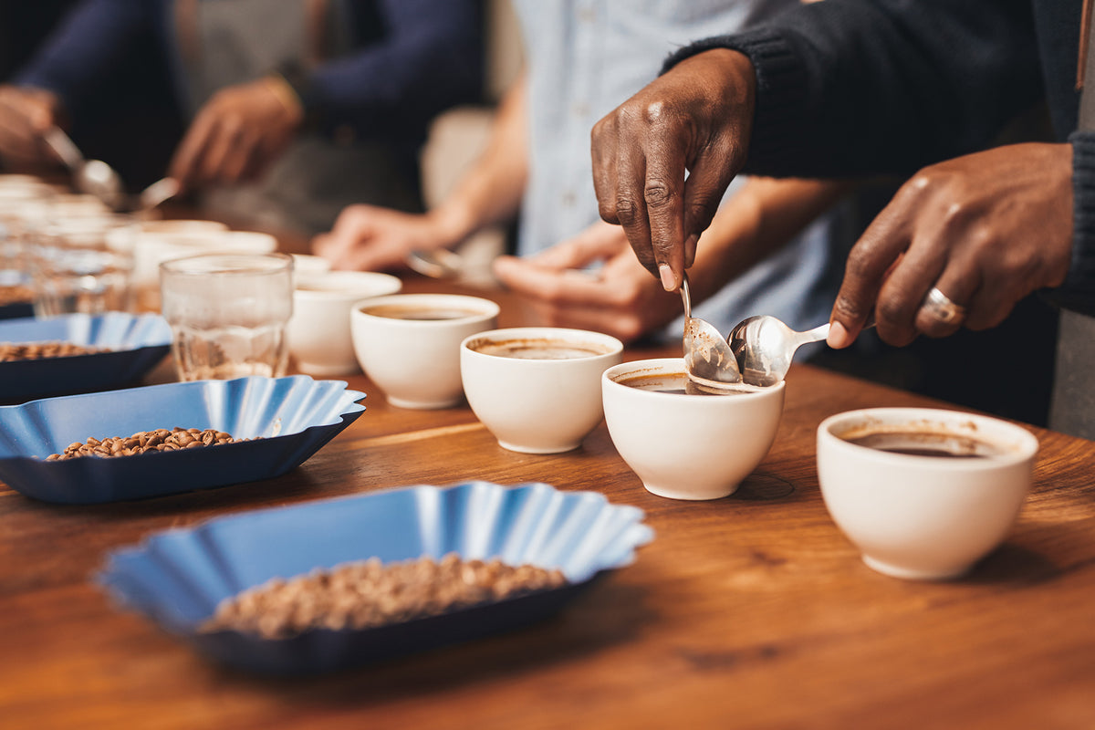 Baristas training to make the perfect cup of coffee.