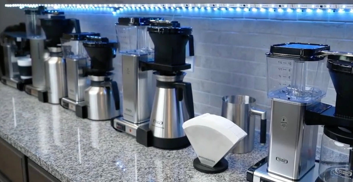 Get to Know Christina Nicci: The Intersection of Coffee and Nutrition