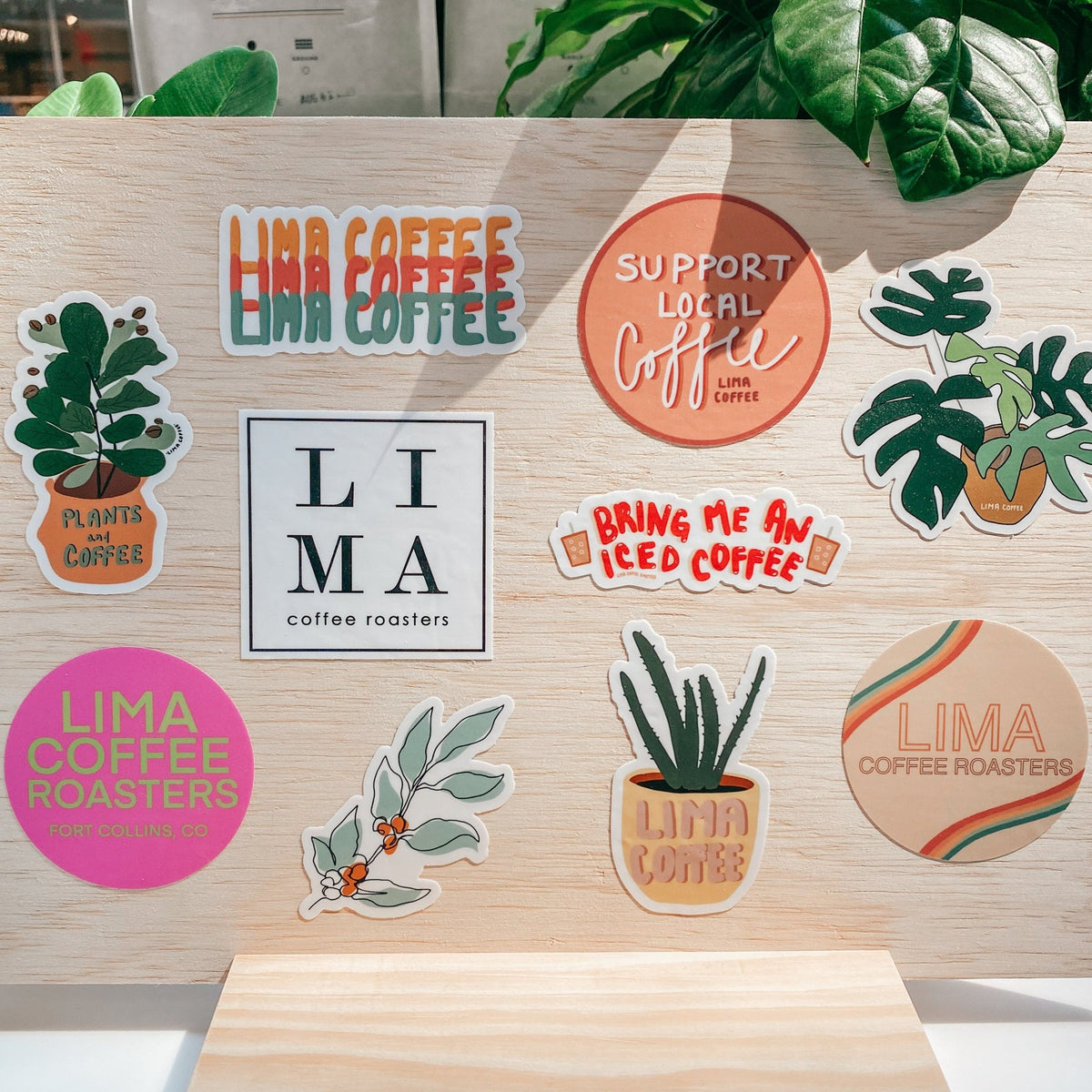 Lima Coffee Roasters: Sustainable Brews from Colorado
