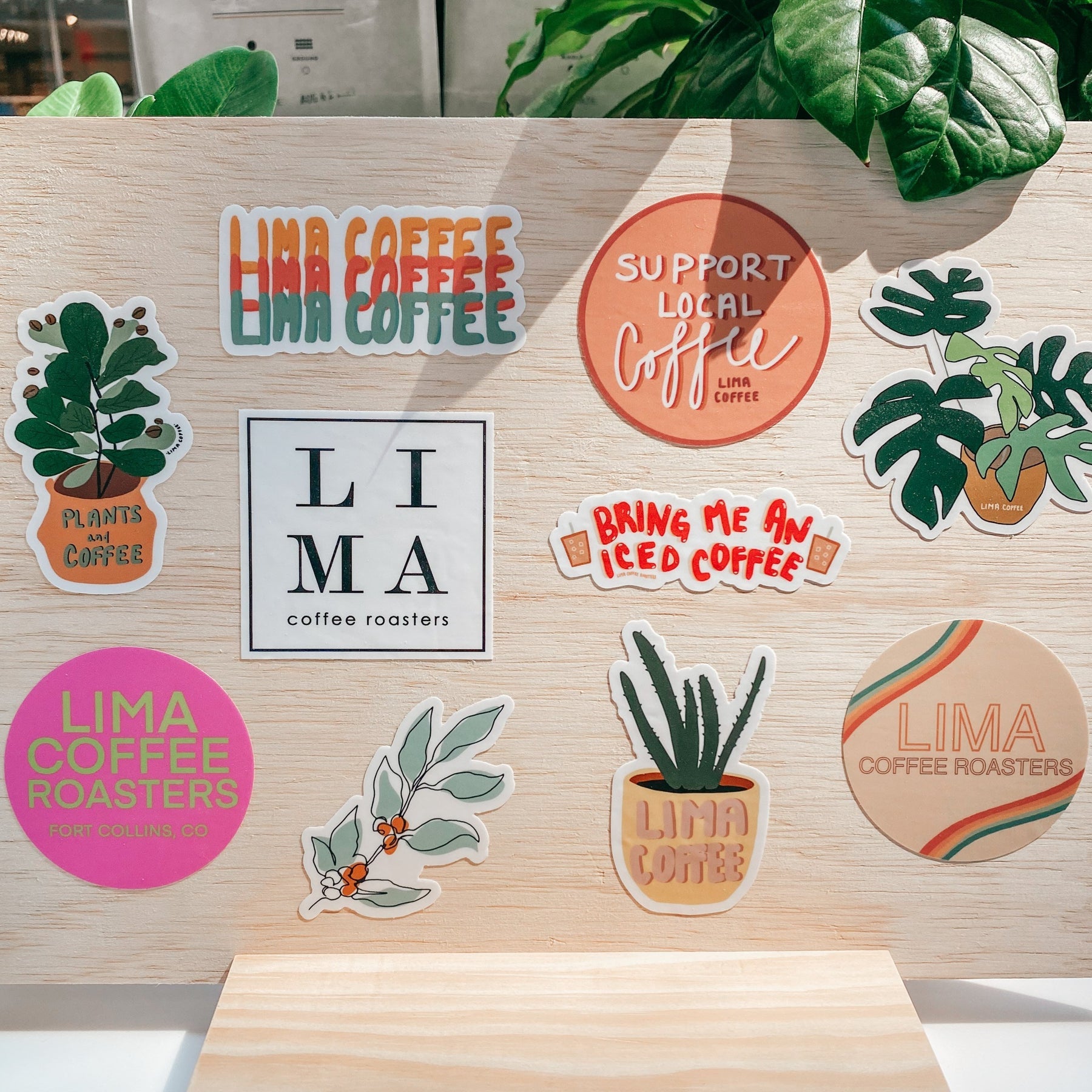 Lima Coffee Roasters: Sustainable Brews from Colorado